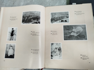 TRANH LỤA NGUYỄN PHAN CHÁNH 