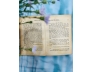 MỐI TÌNH CỦA CHÀNG NHẠC SĨ - HERMANN HEESE (VŨ ĐẰNG DỊCH)