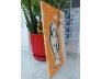 TẠP CHÍ TÂN PHONG TẬP 16