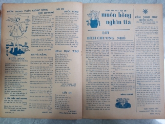 TẠP CHÍ THIẾU NHI SỐ 31 ĐẾN SỐ 40 