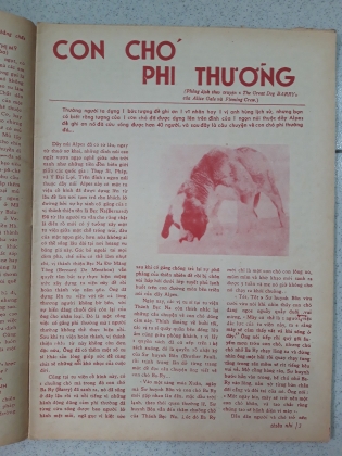 TẠP CHÍ THIẾU NHI SỐ 41 ĐẾN SỐ 50 