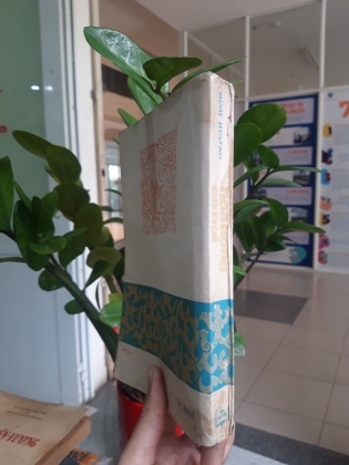 HOA ĐỒNG CỎ NỘI 