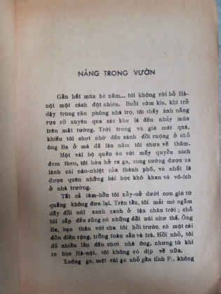 NẮNG TRONG VƯỜN 