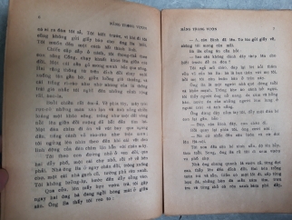 NẮNG TRONG VƯỜN 