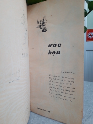 VẠN LÝ TÌNH - VIỆT XUÂN