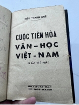 Cuộc tiến hoá văn học Việt Nam