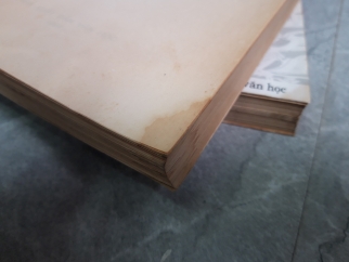 ỨC TRAI TẬP 
