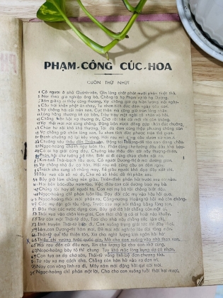 PHẠM CÔNG  CÚC HOA - nguyễn kim đính