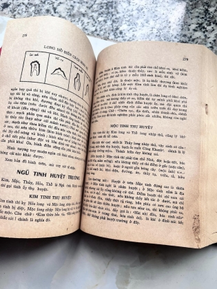 BẢO NGỌC THƯ - ĐỊA LÝ PHONG THUỶ (việt hải)