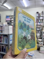 CÂY XANH RÌ RÀO