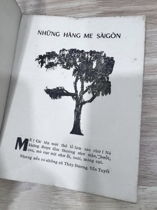 NHỮNG BƯỚC LANG THANG TRÊN HÈ PHỐ CỦA GÃ BÌNH NGUYÊN LỘC - BÌNH NGUYÊN LỘC