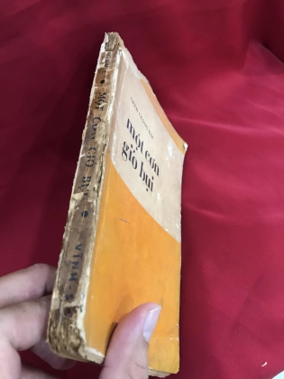 MỘT CƠN GIÓ BỤI - trần trọng kim