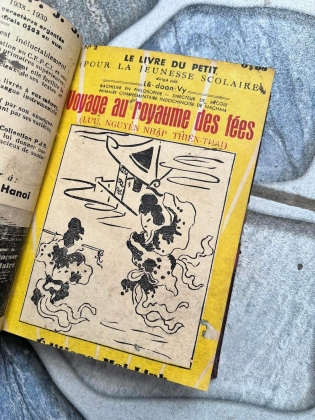 Lê Doãn Vỹ
