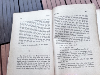 đuốc sậy - y uyên