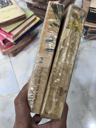 Tuấn Chàng Trai Nước Việt - NGUYỄN VỸ