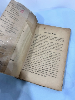 BẮT TRẺ ĐỒNG XANH - J.D. Salinger (PHÙNG KHÁNH DỊCH)
