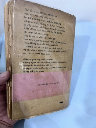BẮT TRẺ ĐỒNG XANH - J.D. Salinger (PHÙNG KHÁNH DỊCH)