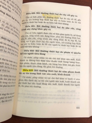HƯỚNG DẪN KHỞI KIỆN CÁC VỤ ÁN DÂN SỰ, KINH TẾ, THƯƠNG MẠI, LAO ĐỘNG VÀ HÀNH CHÍNH - Nguyễn Văn Thông