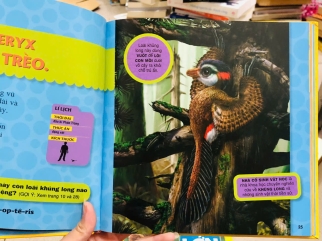 CUỐN SÁCH LỚN ĐẦU TIÊN CỦA TỚ - Catherine D. Hughes (5 CUỐN)
