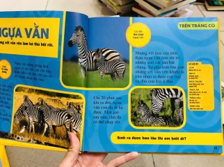 CUỐN SÁCH LỚN ĐẦU TIÊN CỦA TỚ - Catherine D. Hughes (5 CUỐN)