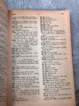 VIETNAMESE ENGLISH STUDENT'S DICTIONARY - NGUYỄN ĐÌNH HOÀ
