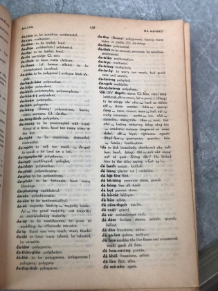 VIETNAMESE ENGLISH STUDENT'S DICTIONARY - NGUYỄN ĐÌNH HOÀ