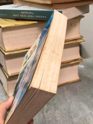 VIỆT NAM CÁI NHÌN ĐỊA - VĂN HOÁ  (TRẦN QUỐC VƯỢNG)