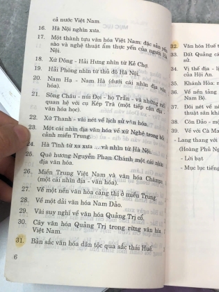 VIỆT NAM CÁI NHÌN ĐỊA - VĂN HOÁ  (TRẦN QUỐC VƯỢNG)