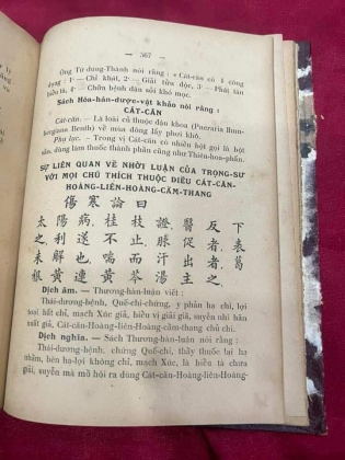 HOÀNG HÁN Y HỌC - THANG BẢN CẦU CHÂN
