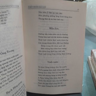 VĂN ĐÀN BẢO GIÁM - TRẦN TRUNG VIÊN