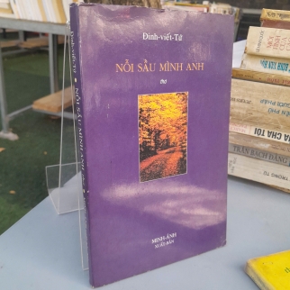 NỖI SẦU MÌNH ANH - Đinh Viết Tứ