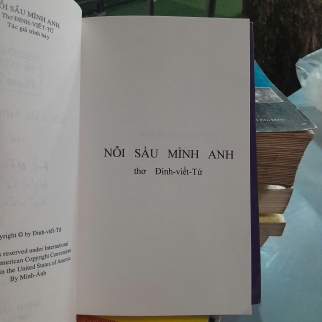 NỖI SẦU MÌNH ANH - Đinh Viết Tứ