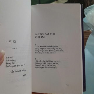 NỖI SẦU MÌNH ANH - Đinh Viết Tứ