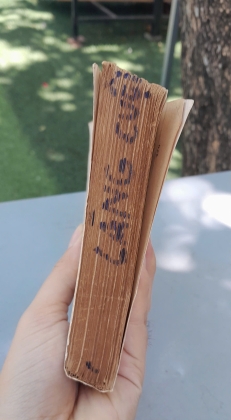 CHUYỆN LÀNG CUỘI - LÊ LỰU