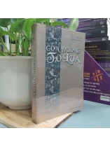 CON ĐƯỜNG TƠ LỤA - XA MỘ KỲ 