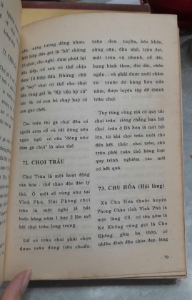 TỪ ĐIỂN HỘI LỄ VIỆT NAM