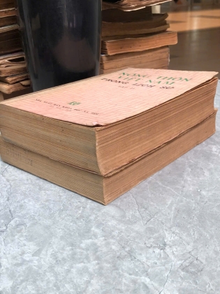 NÔNG THÔN VIỆT NAM TRONG LỊCH SỬ