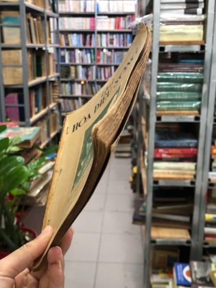 THỬ HOÀ ĐIỆU SỐNG - VÕ ĐÌNH CƯỜNG