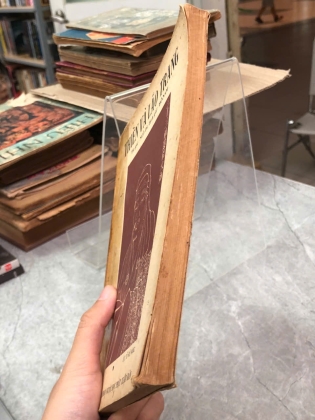 THIỀN VÀ LÃO TRANG - NGÔ DI