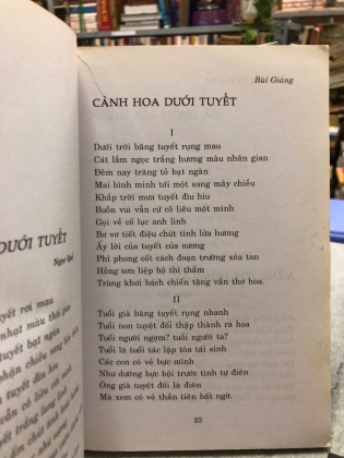 TUYẾT BĂNG VÔ TẬN XỨ - BÙI GIÁNG 