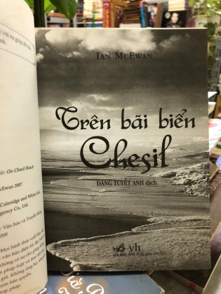 TRÊN BÃI BIỂN CHESIL - ĐẶNG TUYẾT ANH DỊCH 