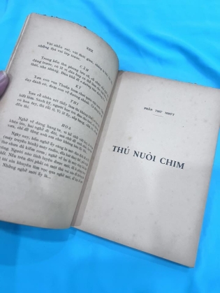 PHONG LƯU CŨ MỚI - VƯƠNG HỒNG SỂN