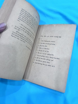 PHONG LƯU CŨ MỚI - VƯƠNG HỒNG SỂN