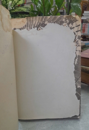 ẢNH NGHỆ THUẬT HÌNH ẢNH QUÊ HƯƠNG VIỆT NAM TẬP 1 - LÊ VĂN KHOA 