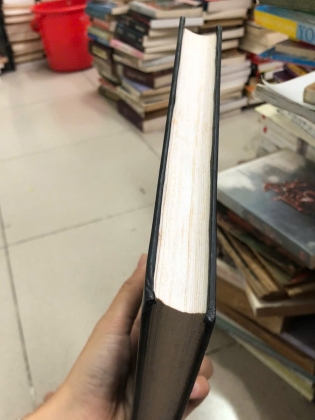 BÀ BÔVARY - BẠCH NĂNG THI dịch