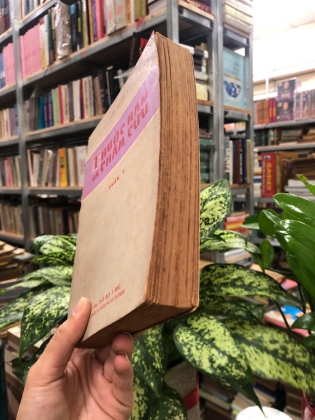 THUỐC NAM VÀ CHÂM CỨU (PHẦN Y)