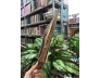 PHƯƠNG PHÁP CỨU THƯƠNG - LÊ VĂN KHOA