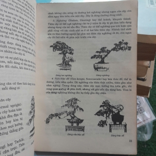 BONSAI - VÕ VĂN CHI