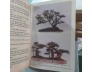 BONSAI - VÕ VĂN CHI