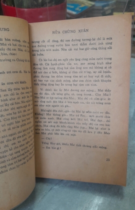 NỬA CHỪNG XUÂN - KHÁI HƯNG